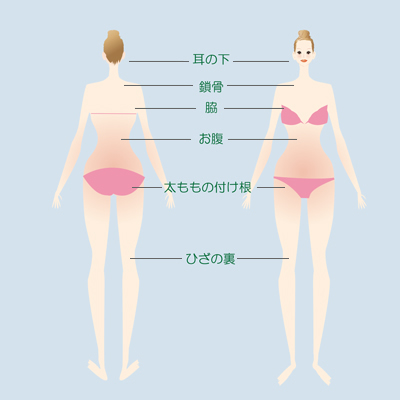 全身